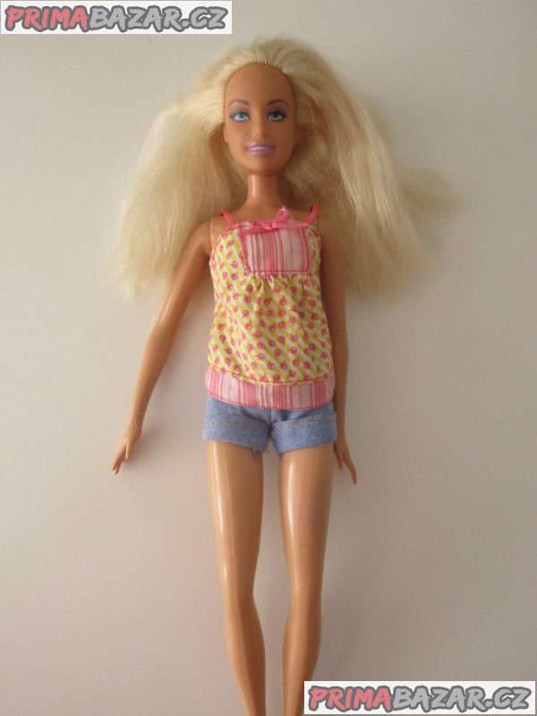 Panenka / panenky Barbie Panenka / panenky Barbie