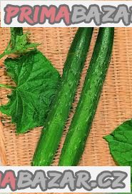 okurka-burples-tasty-green-f1-semena
