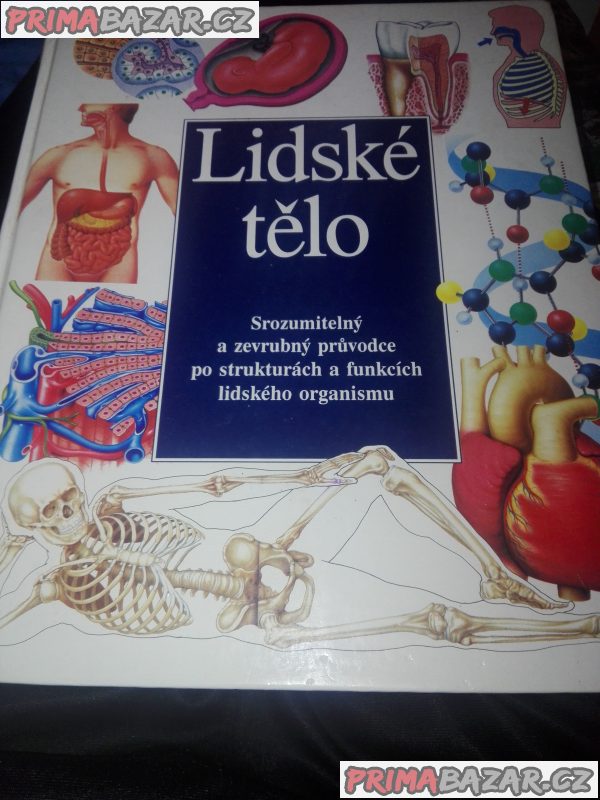 lidské tělo