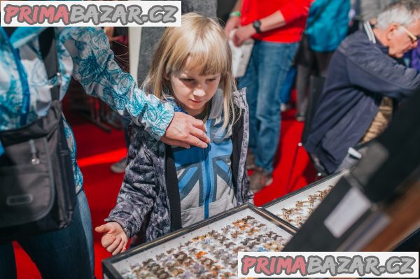 Entomologická výstava, OTROKOVICE, 19.10.2019 Entomologická výstava, OTROKOVICE, 19.10.2019