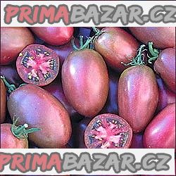 rajče Purple Russian Plum - semena