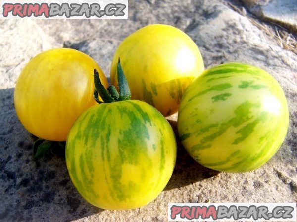 rajče Topaz - semena rajče Topaz - semena