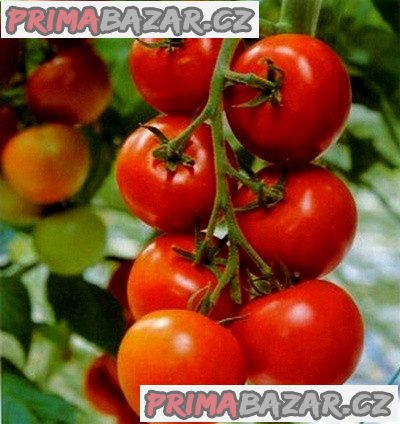rajče Tornádo - semena