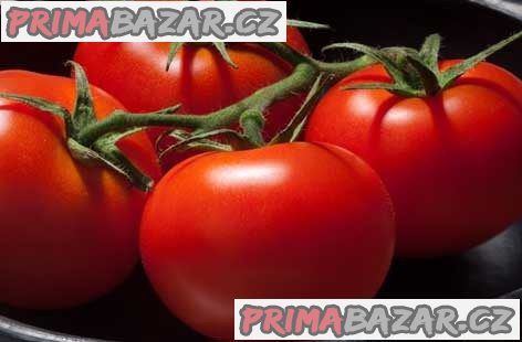 rajce-uragan-f1-semena