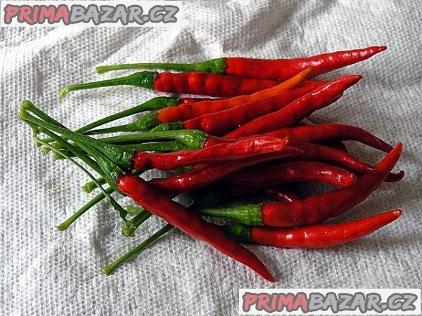 Chilli de Arbol - semena