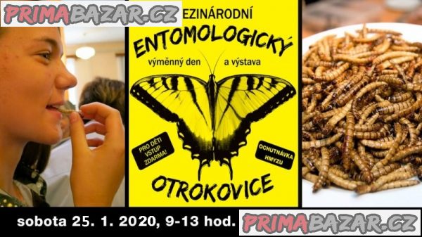 entomologicky-vymenny-den-a-vystava