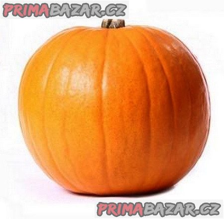 tykev-quintale-seme-giallo-semena