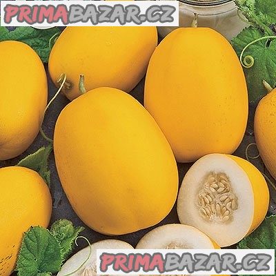 meloun Wine peach - semena meloun Wine peach - semena