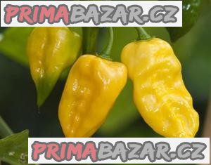 Chilli Lemon Habanero - semena