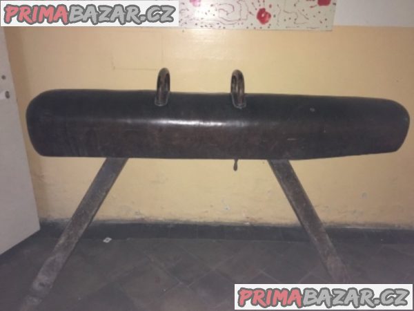 Gymnastický kůň Gymnastický kůň