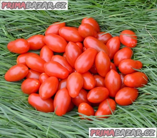 rajce-sugar-plum-f1-semena