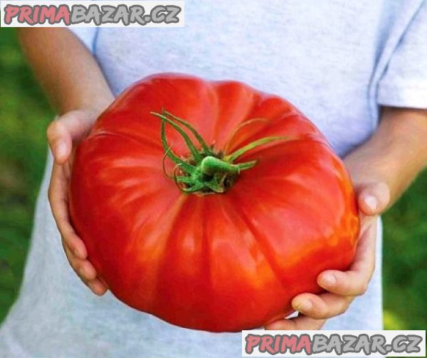 rajče Gigantomo F1 - semena
