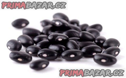 Fazol Blue Lake A Grano Nero - semena Fazol Blue Lake A Grano Nero - semena