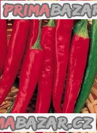 Chilli Cayenne Long Slim - semena