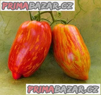 rajče Striped Roman - semena
