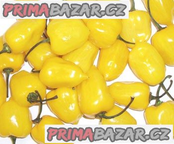 chilli-habanero-yellow-semena