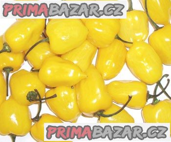 chilli Habanero Yellow - semena