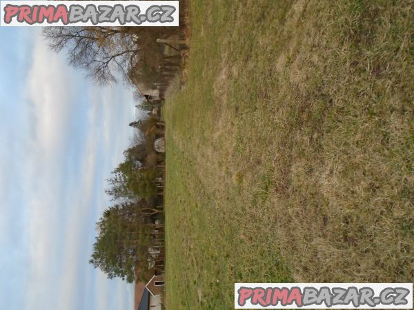 Pronájem pole/zahrada 3708 m2 v obci České Meziříčí, okr. Rychnov nad Kněžnou Pronájem pole/zahrada 3708 m2 v obci České Meziříčí, okr. Rychnov nad Kněžnou