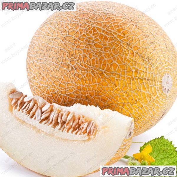 meloun cukrový Ananas - semena