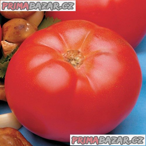rajce-beefmaster-vfn-f1-semena