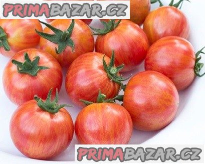 rajce-bumble-bee-pink-semena