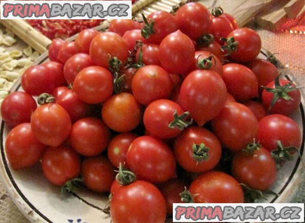 rajče Fiaschetto - semena