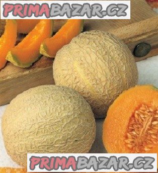 meloun-arancino-semena