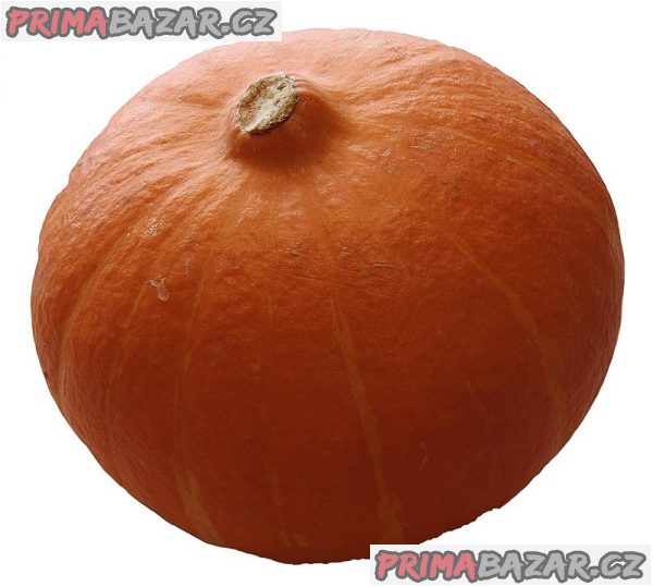 tykev-hokkaido-orange-semena