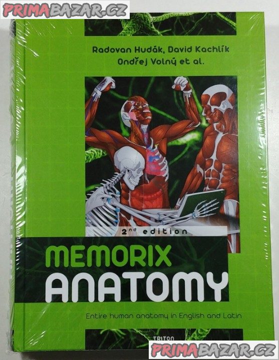memorix-anatomie