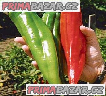 semena Chilli Big Jim