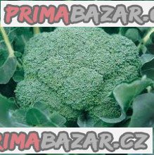 brokolice-ramoso-calabrese-natalino