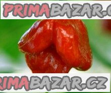 100 x semena Chilli Trinidad Scorpion Red Zvýhodněná nabídka