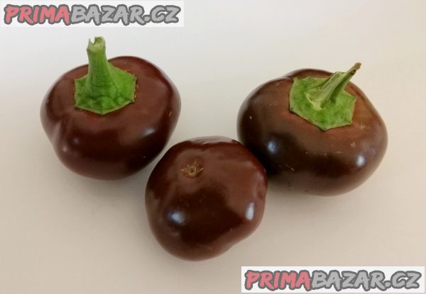 Chilli Cherry Chocolate - semena
