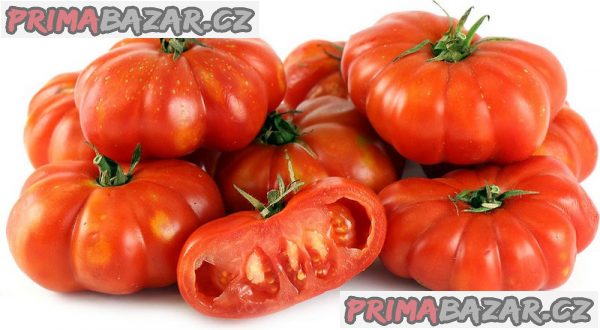 rajce-rosso-sicilian-semena