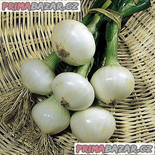cibule-white-lisbon-semena