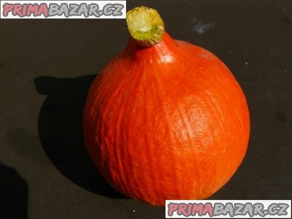 dyne-hokkaido-orange-semena
