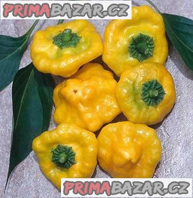 Chilli Jamaican Yellow - semena