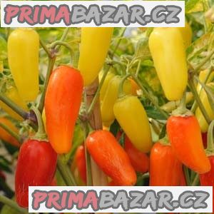 Chilli Numex Pinata - semena