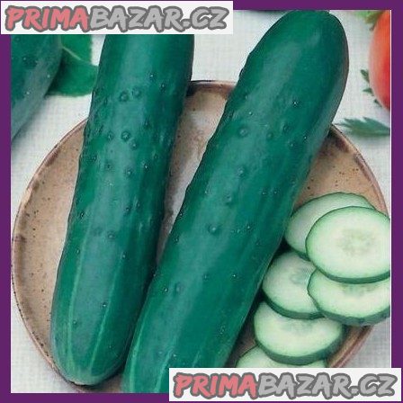 Okurka salátovka Obelix F1 - semena