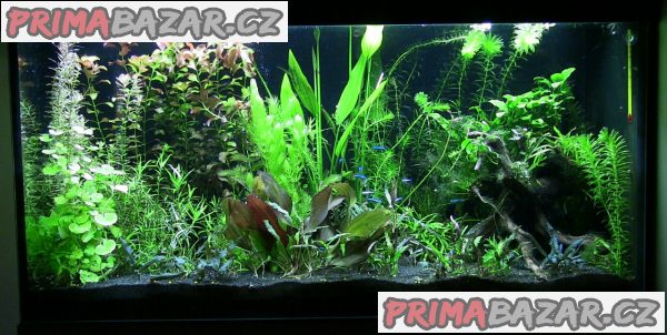 prodam-akvarium