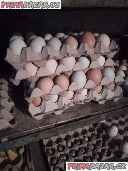 Domácí Vajíčka
