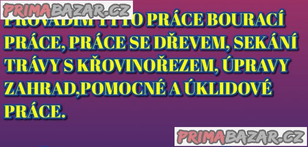 PROVÁDÍM POMOCNÉ A ÚKLIDOVÉ PRÁCE DOKSY A OKOLÍ