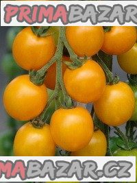 rajce-goldkrone-semena