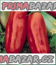 200 x semena Rajče San Marzano Lampadina Zvýhodněná nabídka