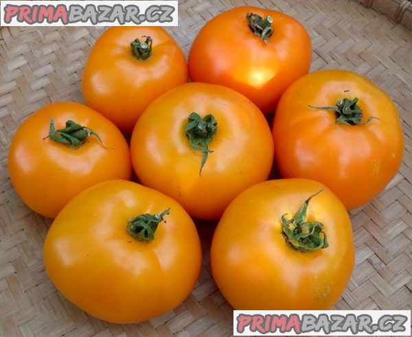 semena-rajce-orange