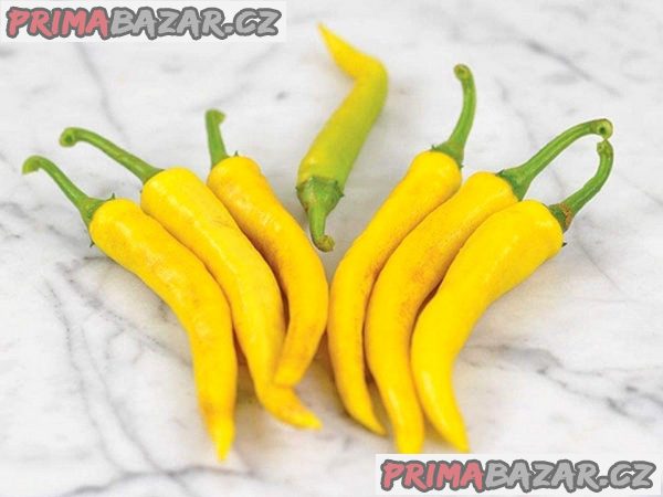 Chilli Golden Cayenne Pepper - semena