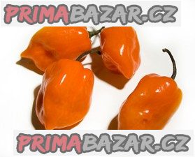 Chilli Habanero Orange - semena