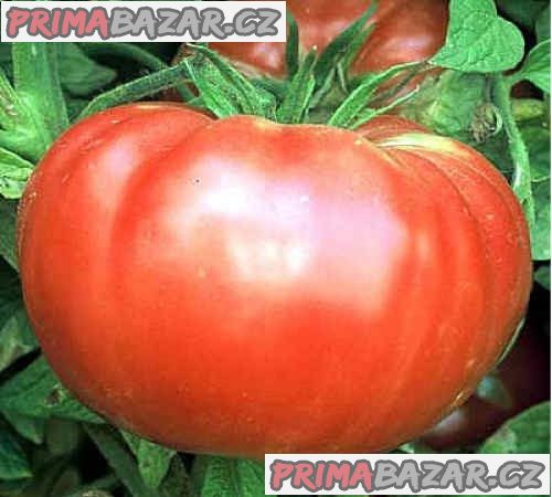 rajce-brandywine-red-baleni-obsahuje-10-semen