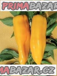 Paprika Corno Di Toro Giallo Balení obsahuje 30 semen