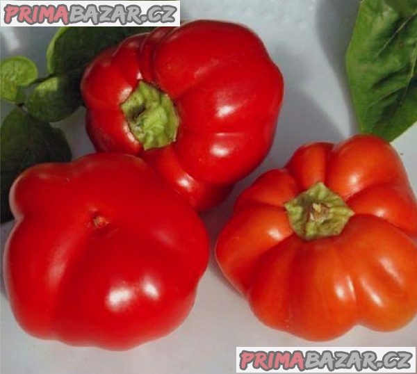 Paprika Dumas Balení obsahuje 30 semen